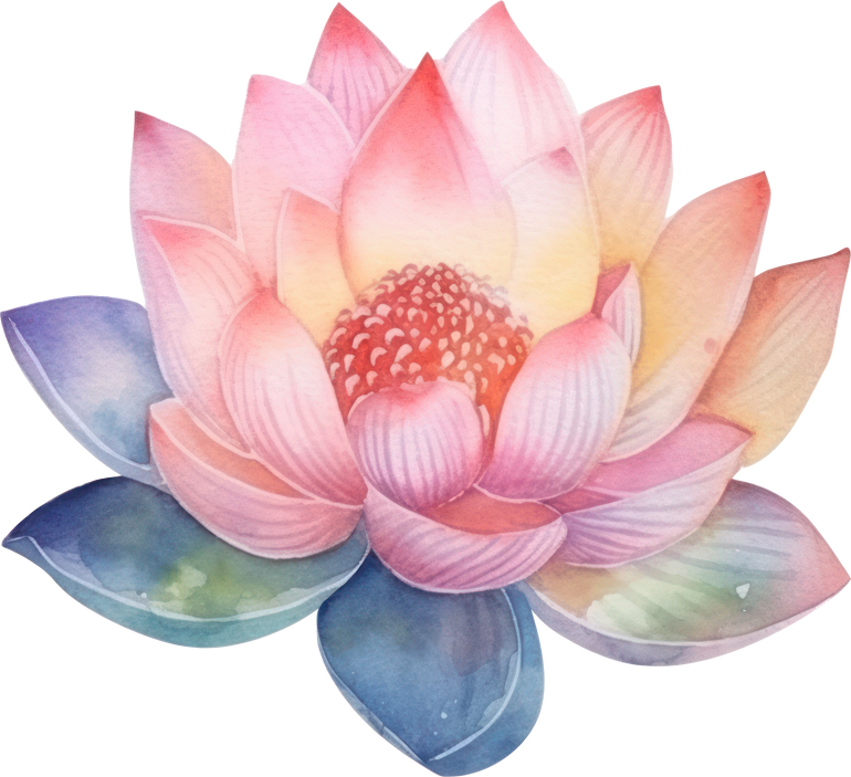 Lotus Flower Watercolor Illustration